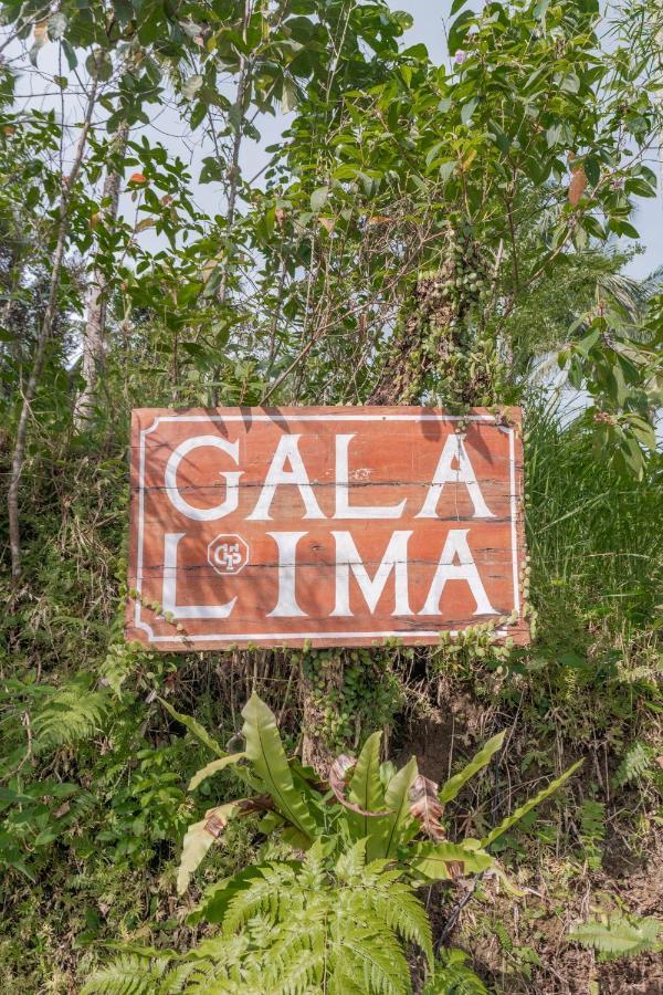 Готель Galalima Glamping By Agata Meliling Екстер'єр фото